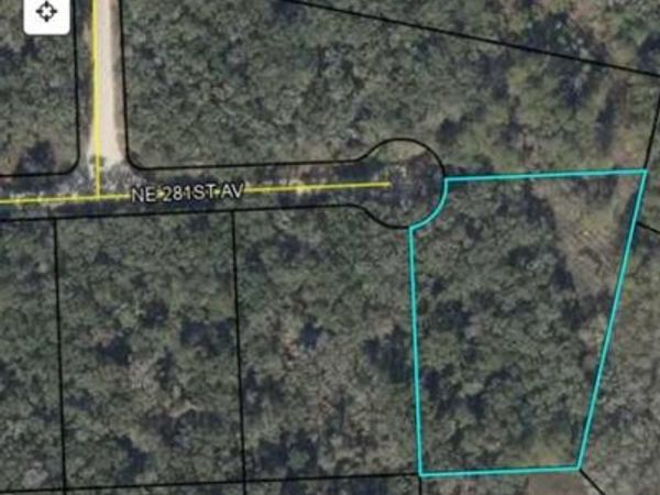 TBD NE 281st Ave, Old Town, FL 32680