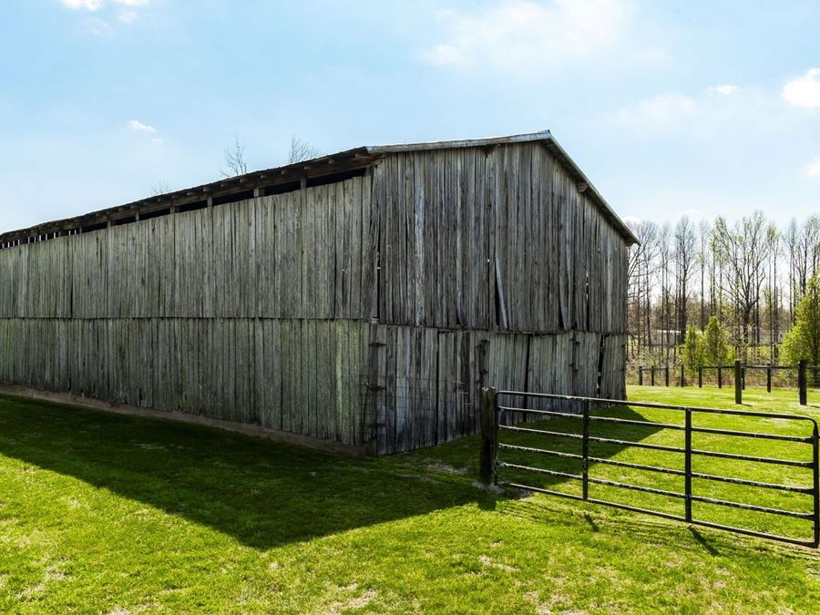 Property Image 43