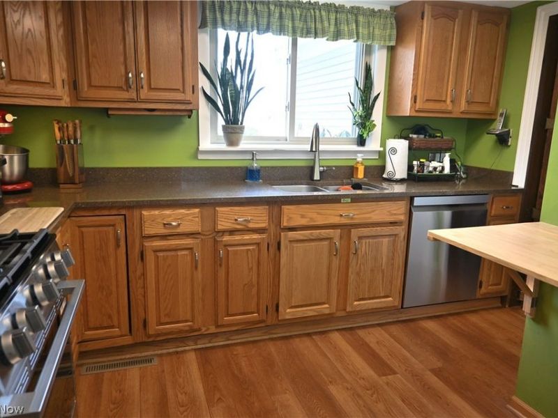 206 S Eagle Street, Geneva, OH 44041 Photo 3