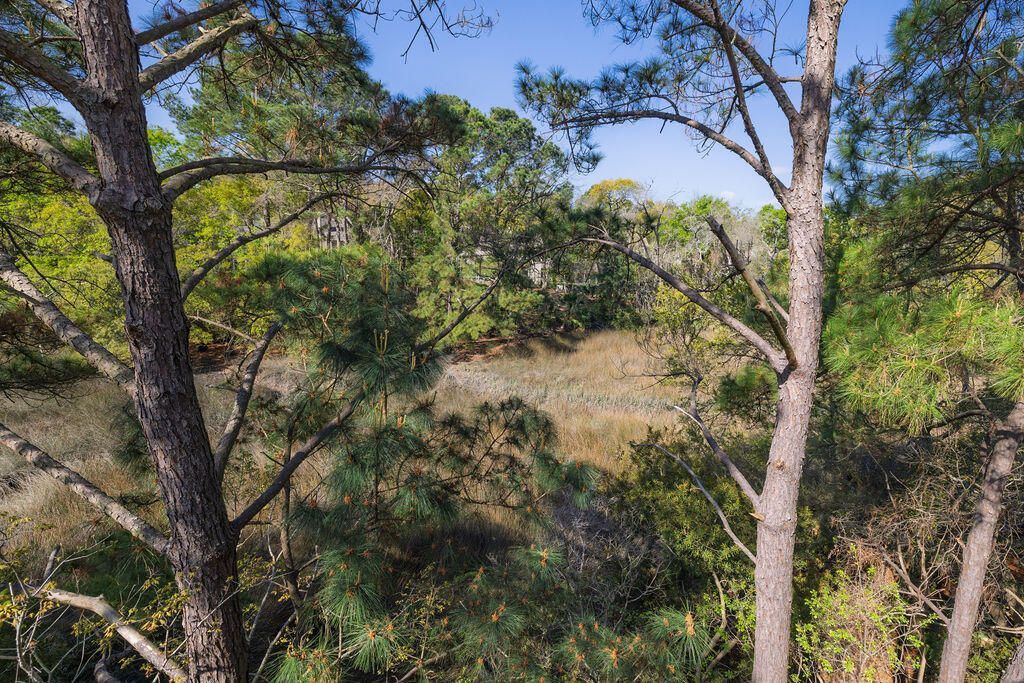 142 Wappoo Creek Drive Photo 34