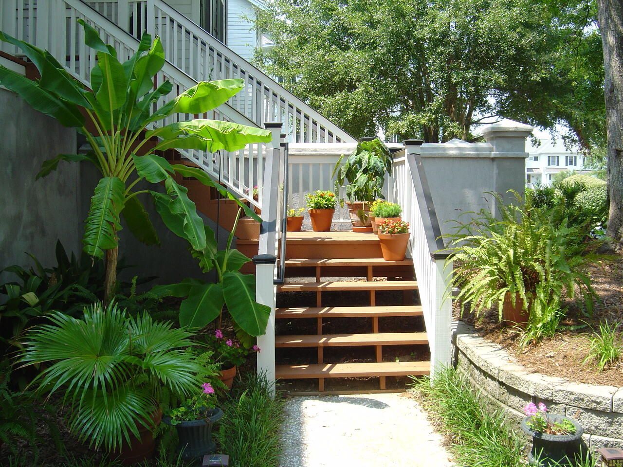 142 Wappoo Creek Drive Photo 6