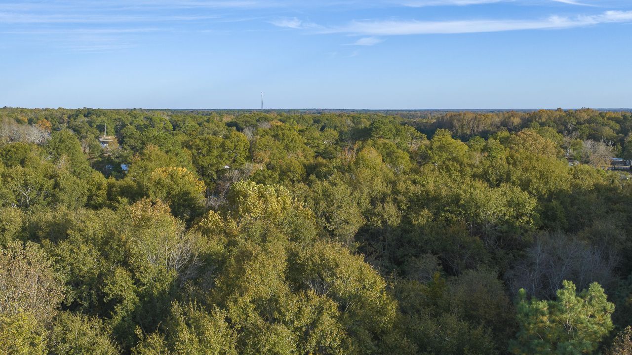 00 Kingland Drive Photo 8