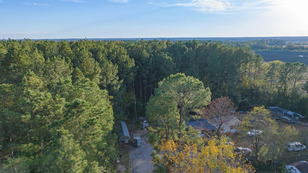 00 Kingland Drive Photo 9