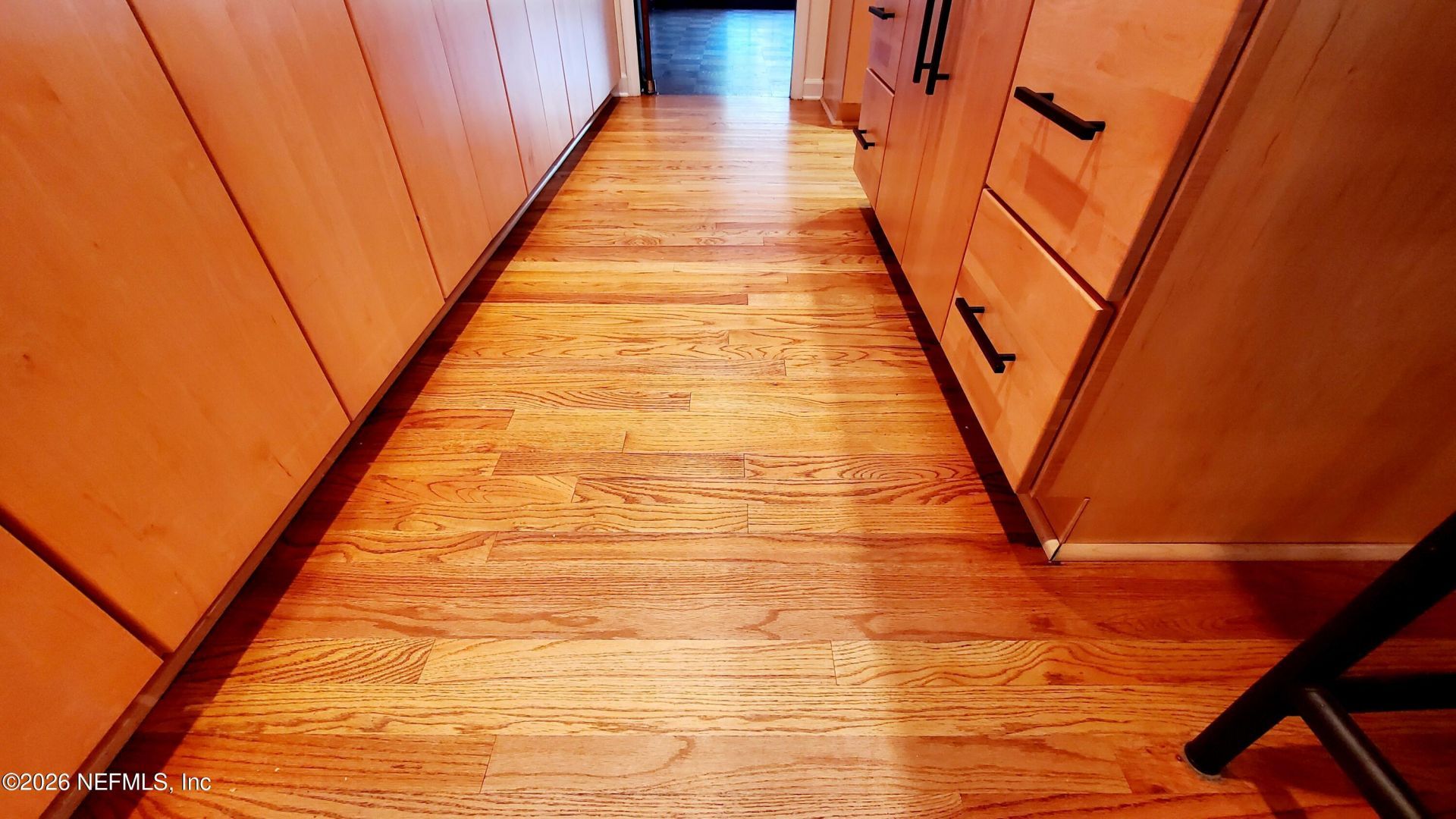 3672 Cathedral Oaks Place N, Jacksonville, FL 32217 Photo