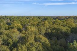 0 Kingland Drive photo 4