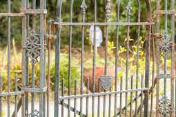 10 Council Street photo 4