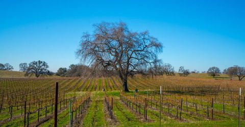 17000 Latrobe Rd, Plymouth, CA 95669 Photo