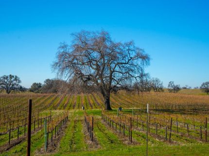 17000 Latrobe Rd, Plymouth, CA 95669 Photo