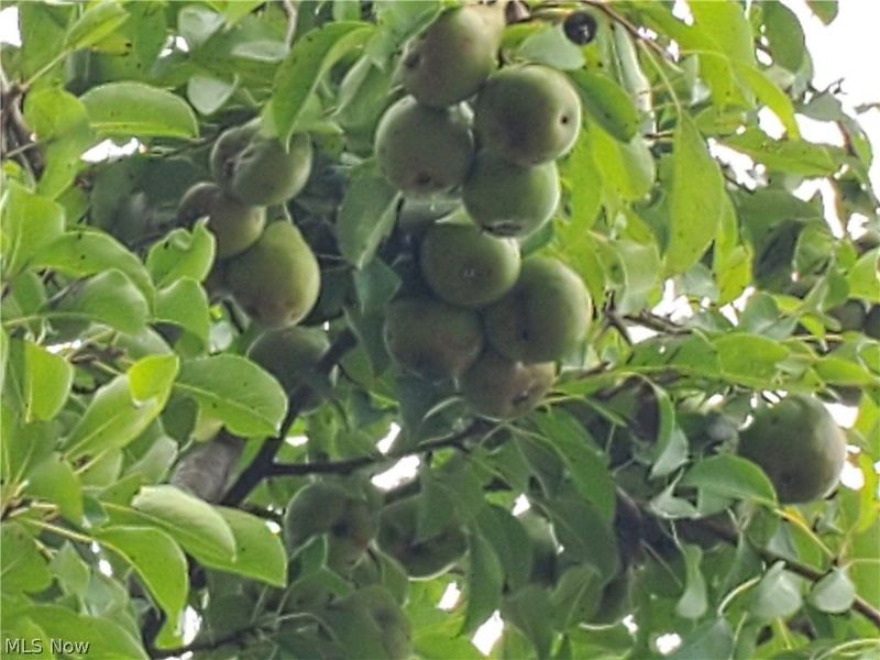 41264 Township Road 58, Coshocton, OH 43812 Photo 50