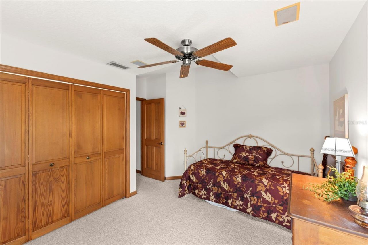 3079 Branch Drive, Clearwater, FL 33760 Photo