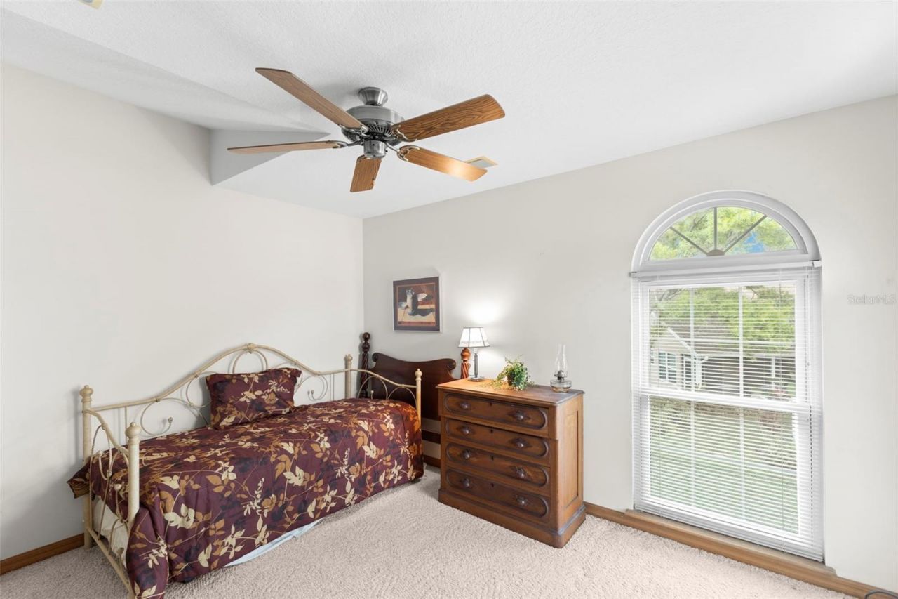 3079 Branch Drive, Clearwater, FL 33760 Photo
