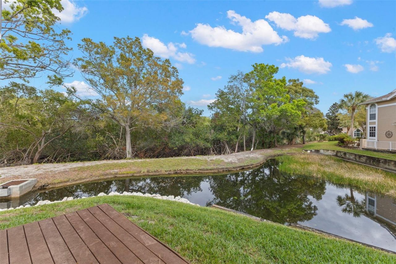 3079 Branch Drive , Clearwater, FL 33760 Photo