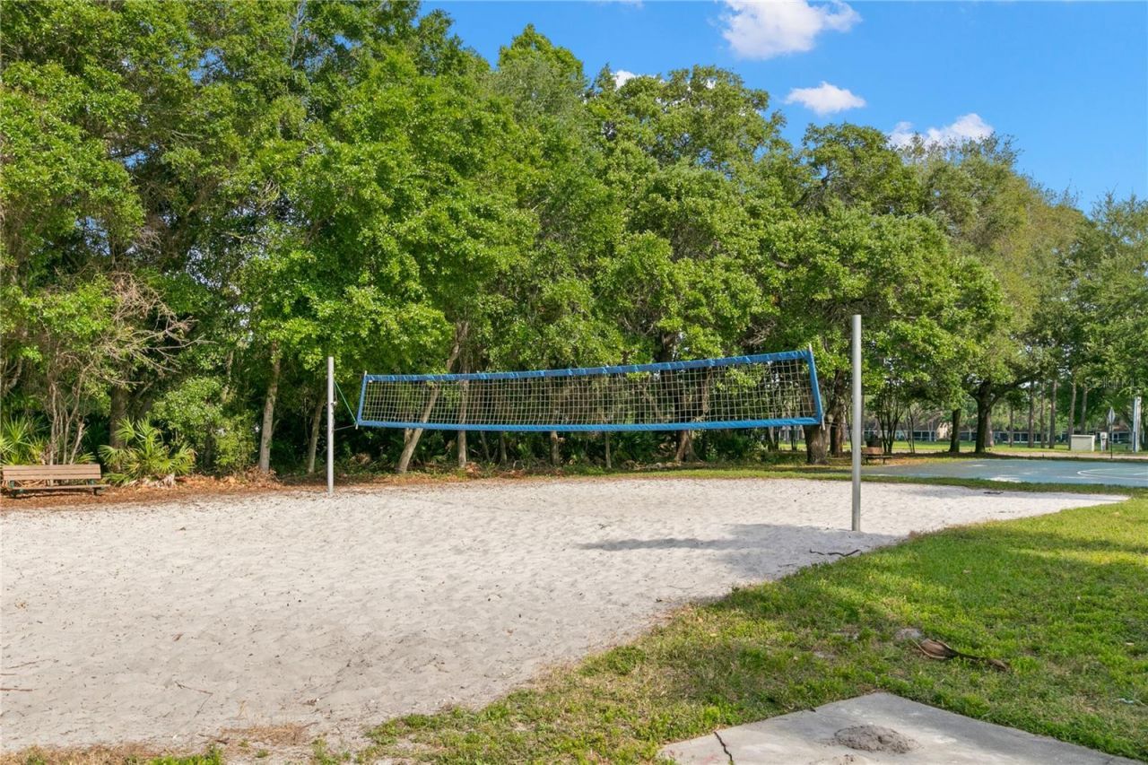 3079 Branch Drive, Clearwater, FL 33760 Photo