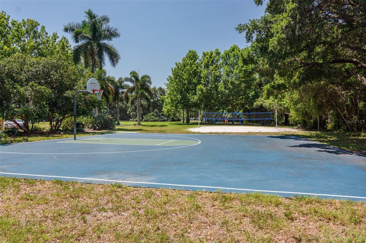 3079 Branch Drive, Clearwater, FL 33760 Photo