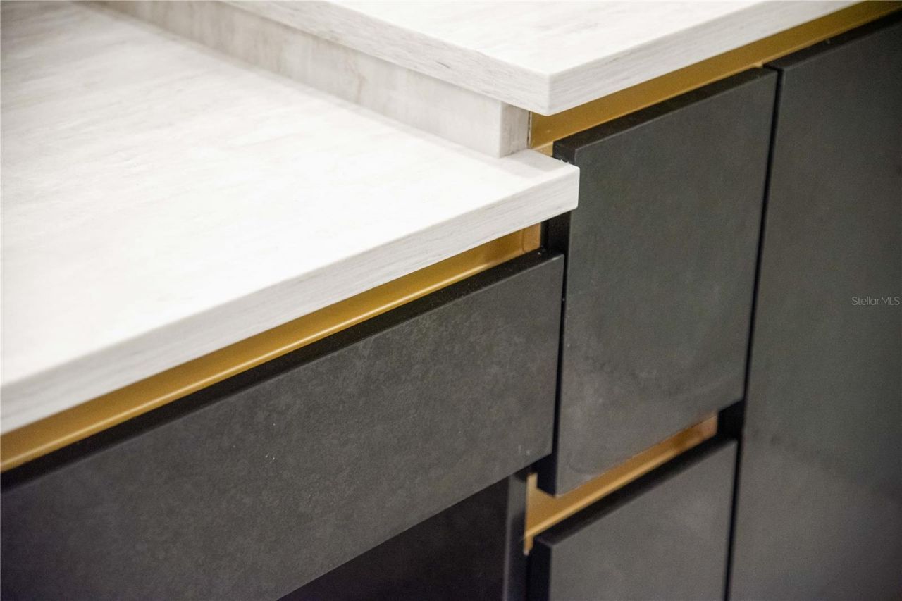 3104 W Pine Street, Tampa, FL 33607 Photo