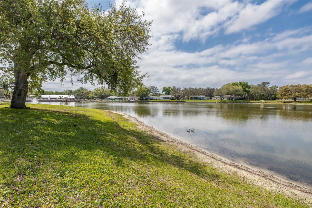 8330 Divot Way, Port Richey, FL 34668 Photo
