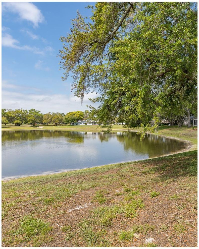 8330 Divot Way, Port Richey, FL 34668 Photo