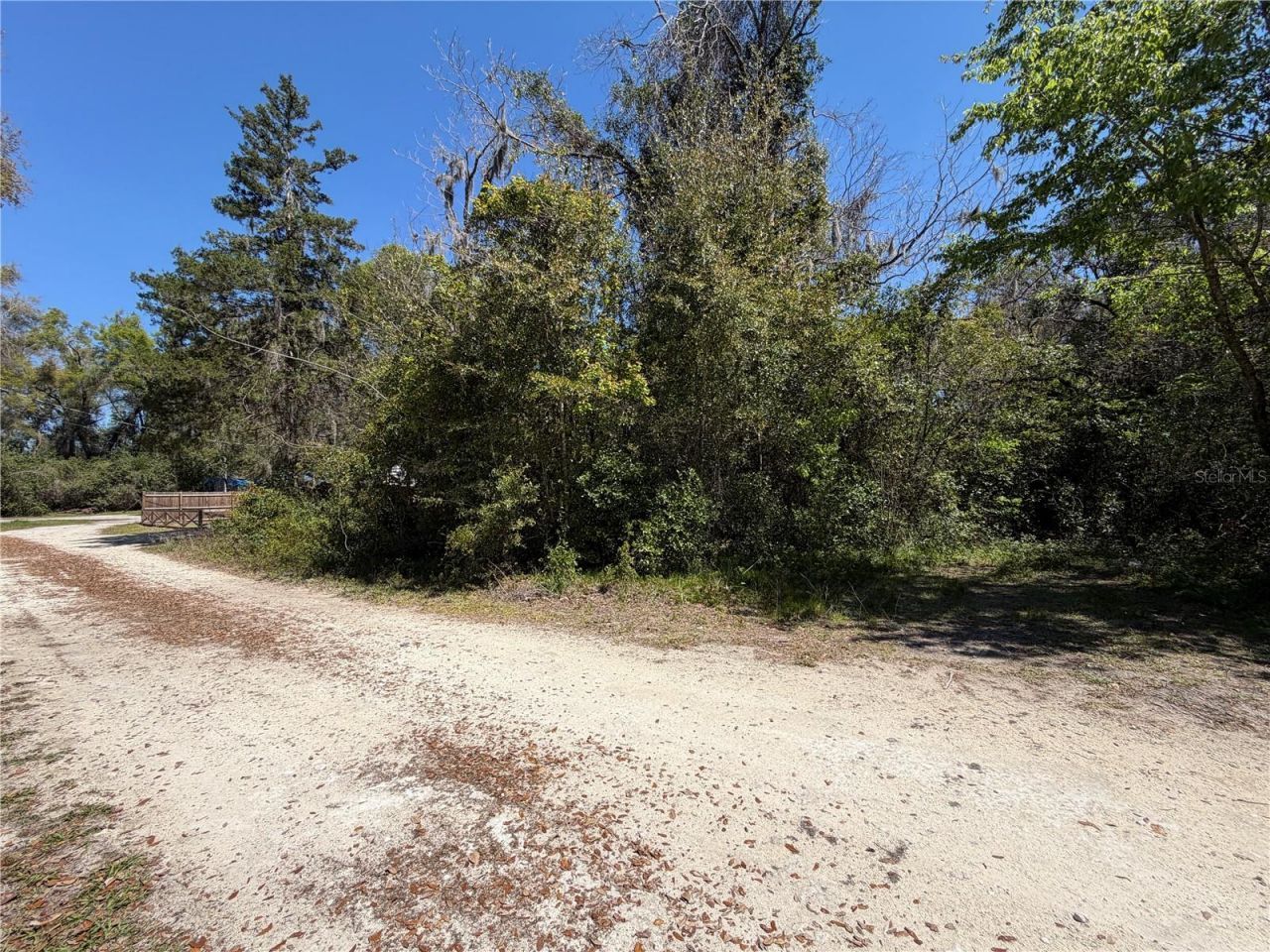 300blk NW 245th Terrace, Newberry, FL 32669 Photo