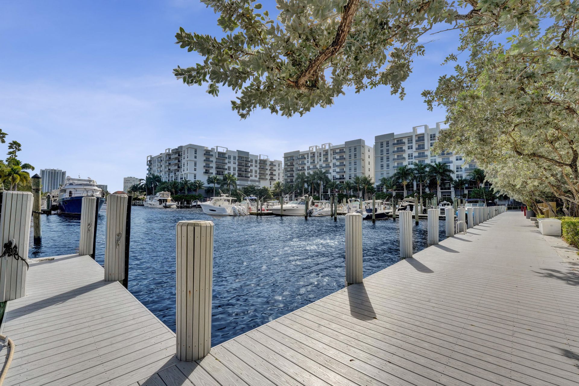 3200 Port Royale Drive N, Unit 701, Fort Lauderdale, FL 33308 Photo