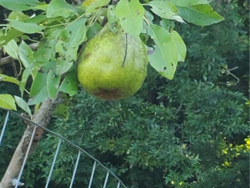 41264 Township Road 58, Coshocton, OH 43812 Photo 40