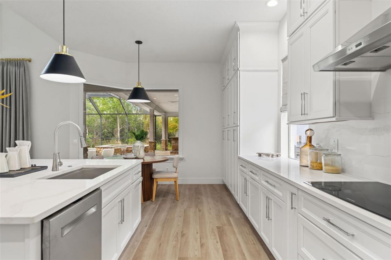 11627 Renaissance View Court, Tampa, FL 33626 Photo