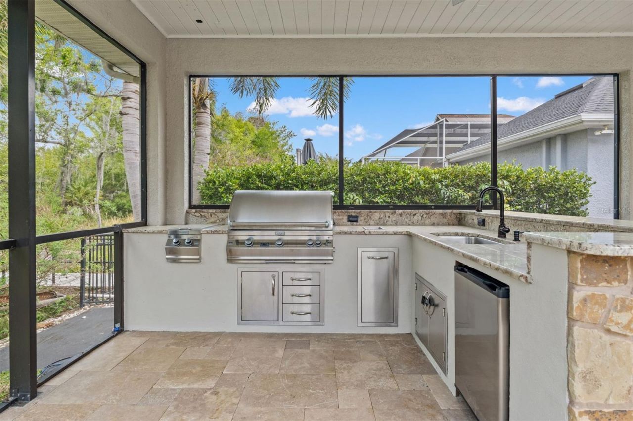 11627 Renaissance View Court, Tampa, FL 33626 Photo