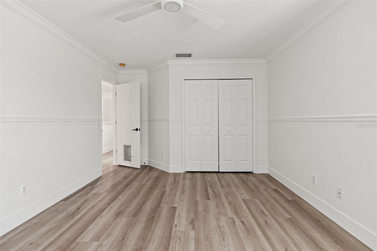 11627 Renaissance View Court, Tampa, FL 33626 Photo