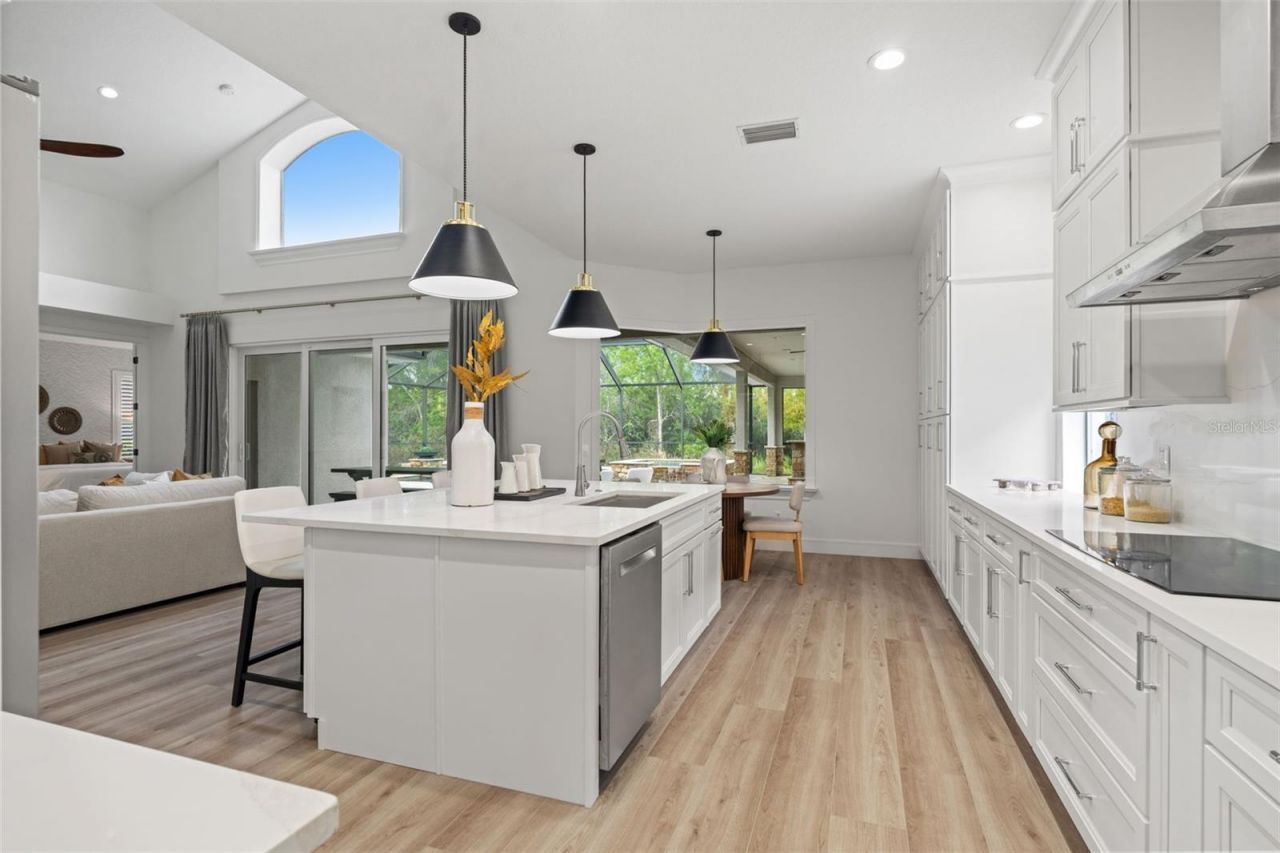 11627 Renaissance View Court, Tampa, FL 33626 Photo