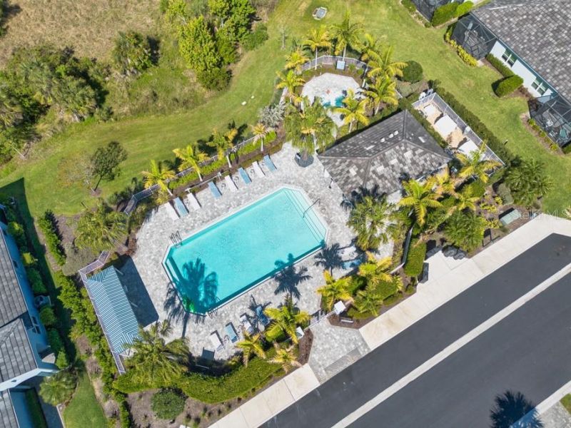 4311 Star Apple Terrace, Bradenton, FL 34203 Photo