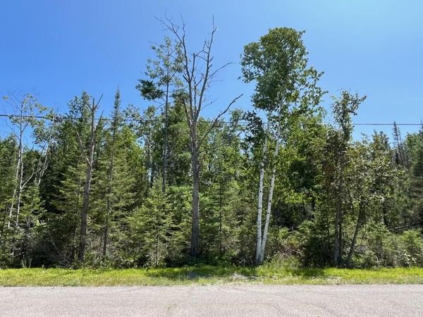 L 130-131 Laurelhill Circle, Presque Isle, MI 49777
