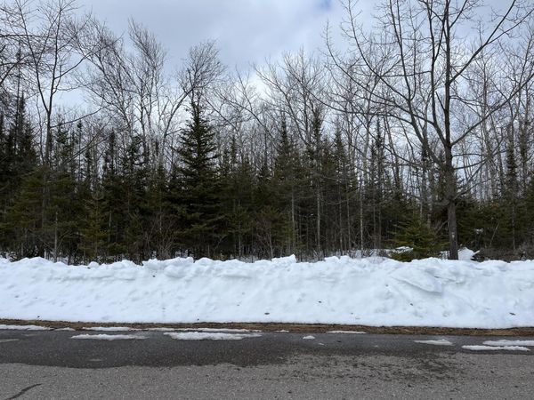 L 130-131 Laurelhill Circle, Presque Isle, MI 49777