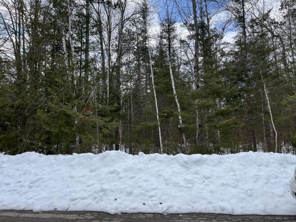 Lot 57 Clear Water Drive, Presque Isle, MI 49777