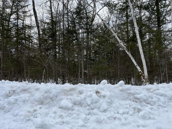 Lot 233 Timberway Court, Presque Isle, MI 49777