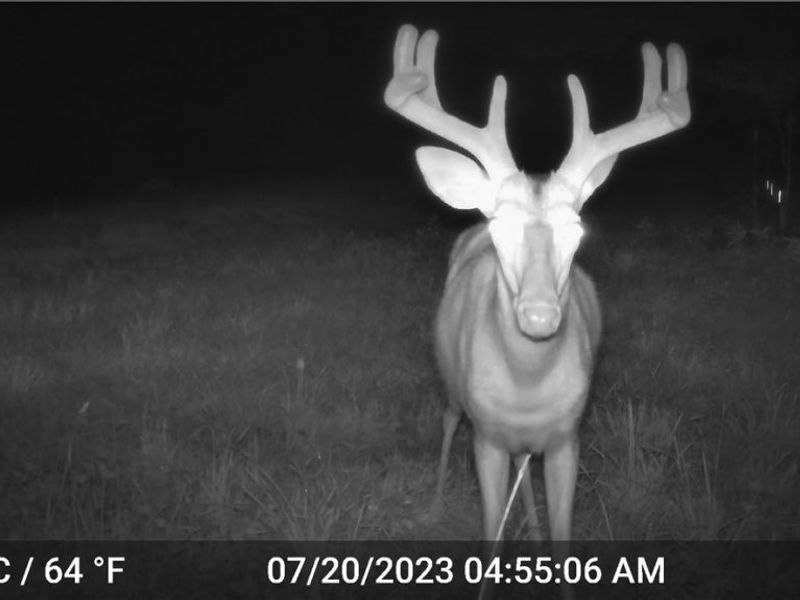 41264 Township Road 58, Coshocton, OH 43812 Photo 10