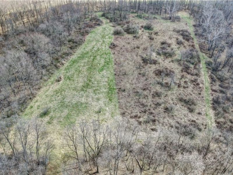 41264 Township Road 58, Coshocton, OH 43812 Photo 4