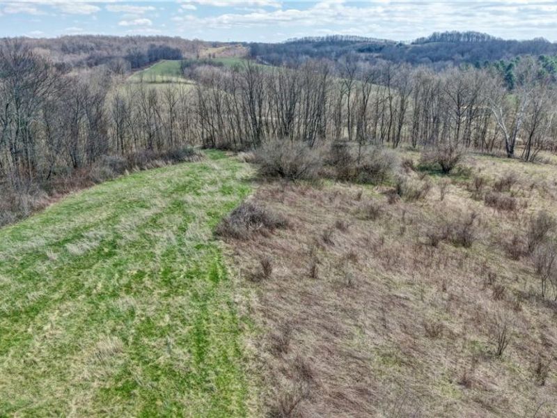 41264 Township Road 58, Coshocton, OH 43812 Photo 5