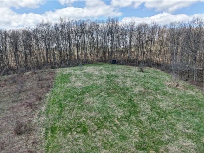 41264 Township Road 58, Coshocton, OH 43812 Photo 6