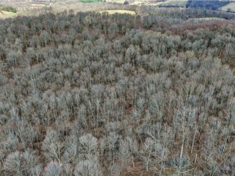 41264 Township Road 58, Coshocton, OH 43812 Photo 8