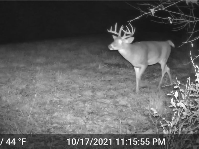 41264 Township Road 58, Coshocton, OH 43812 Photo 9