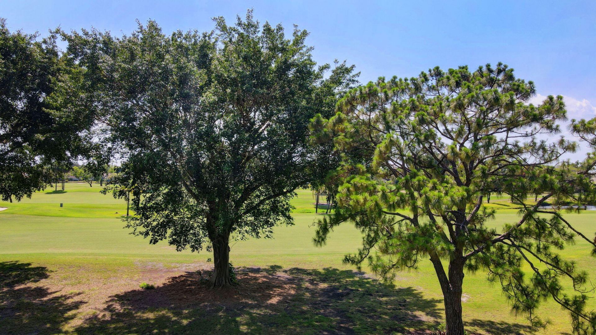 5279 S Fountains Dr S S, Unit 304, Lake Worth, FL 33467 Photo