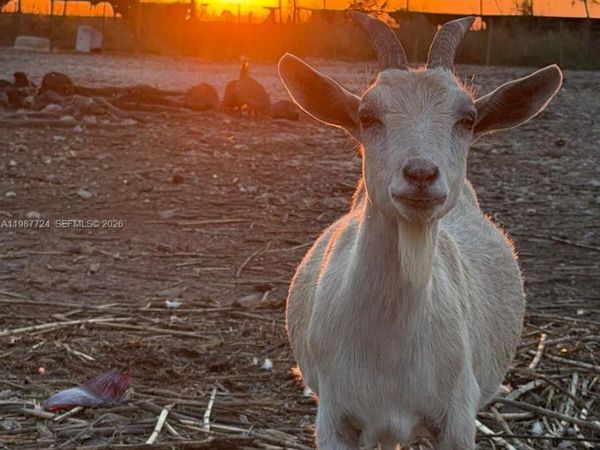 208 AVE , Miami, FL 33196