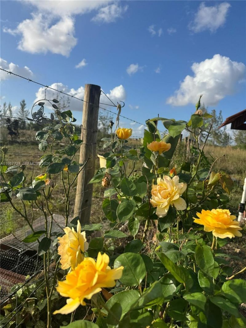 208 Ave , Miami, FL 33196 Photo