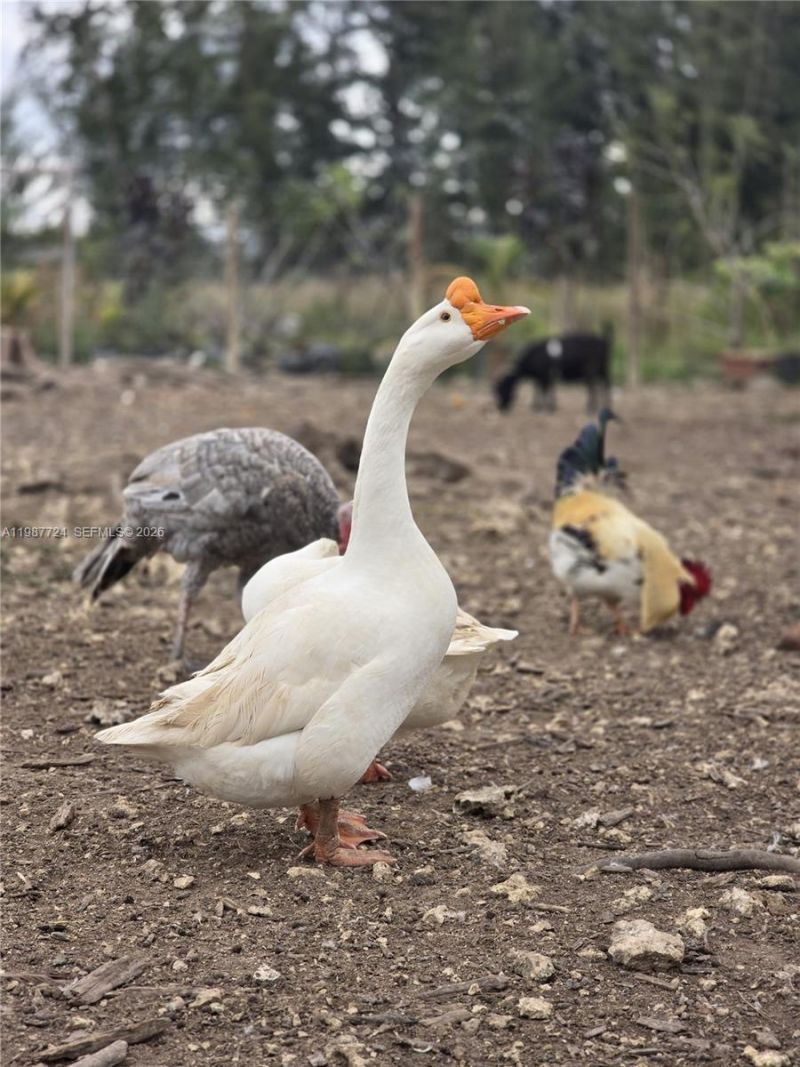 208 Ave , Miami, FL 33196 Photo