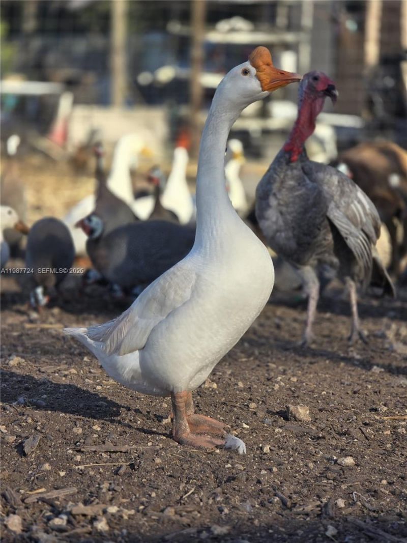 208 Ave , Miami, FL 33196 Photo