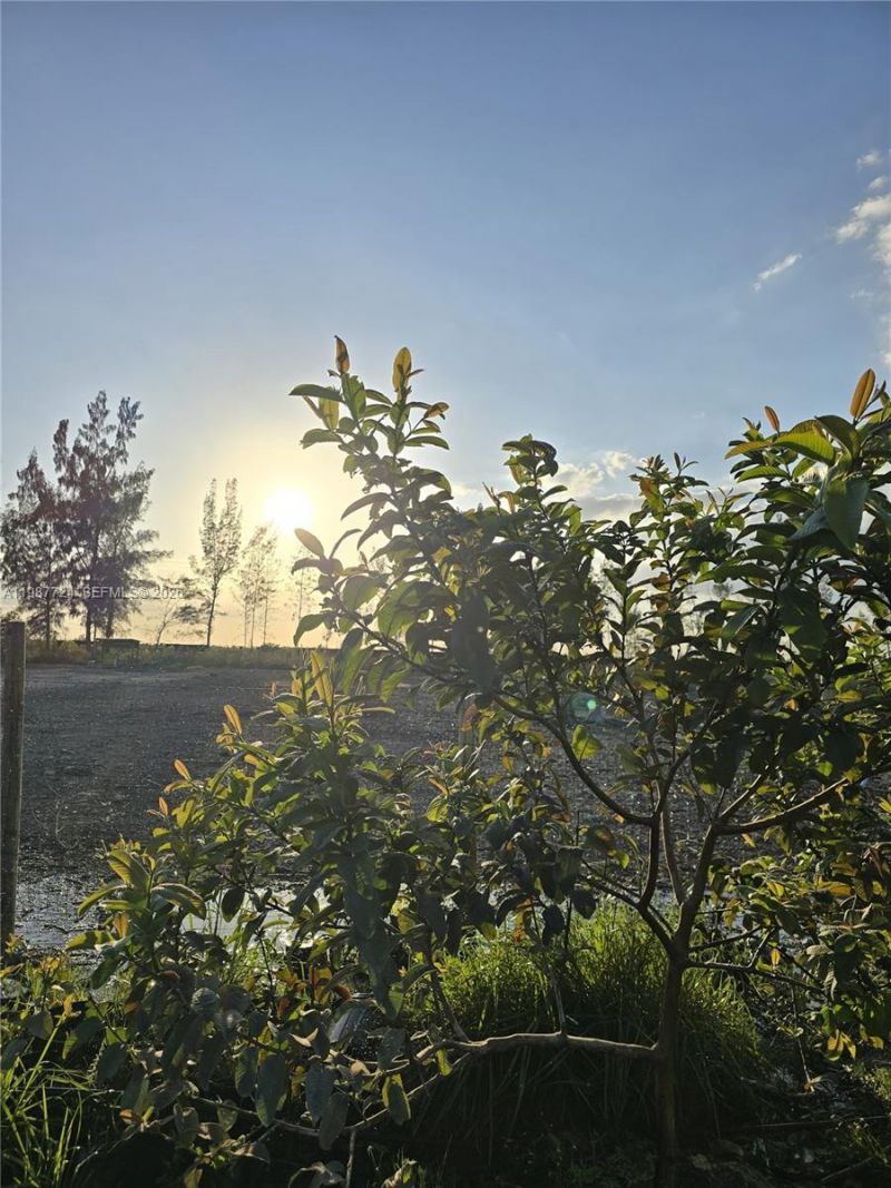 208 Ave , Miami, FL 33196 Photo