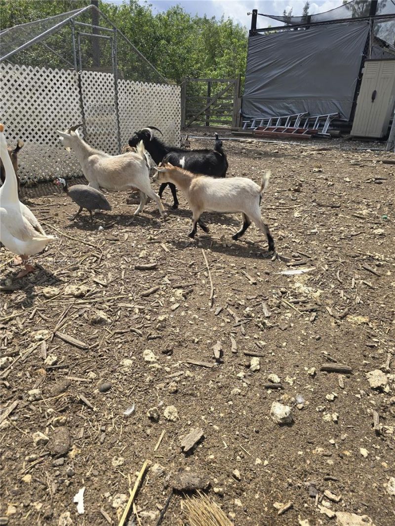 208 Ave , Miami, FL 33196 Photo