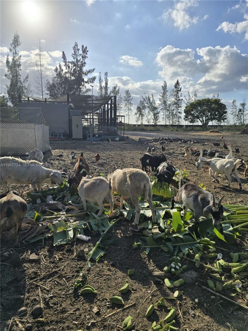 208 Ave , Miami, FL 33196 Photo