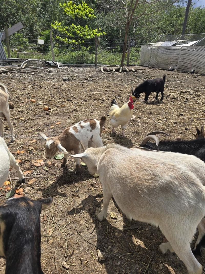 208 Ave , Miami, FL 33196 Photo