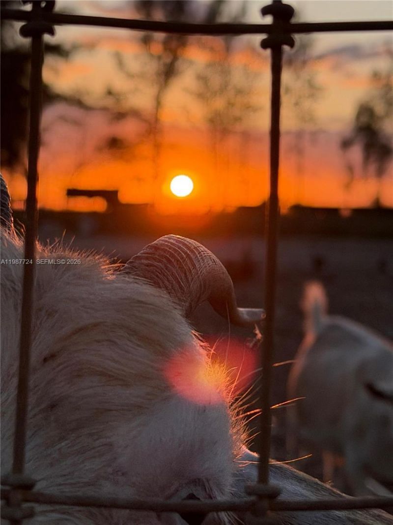 208 Ave , Miami, FL 33196 Photo