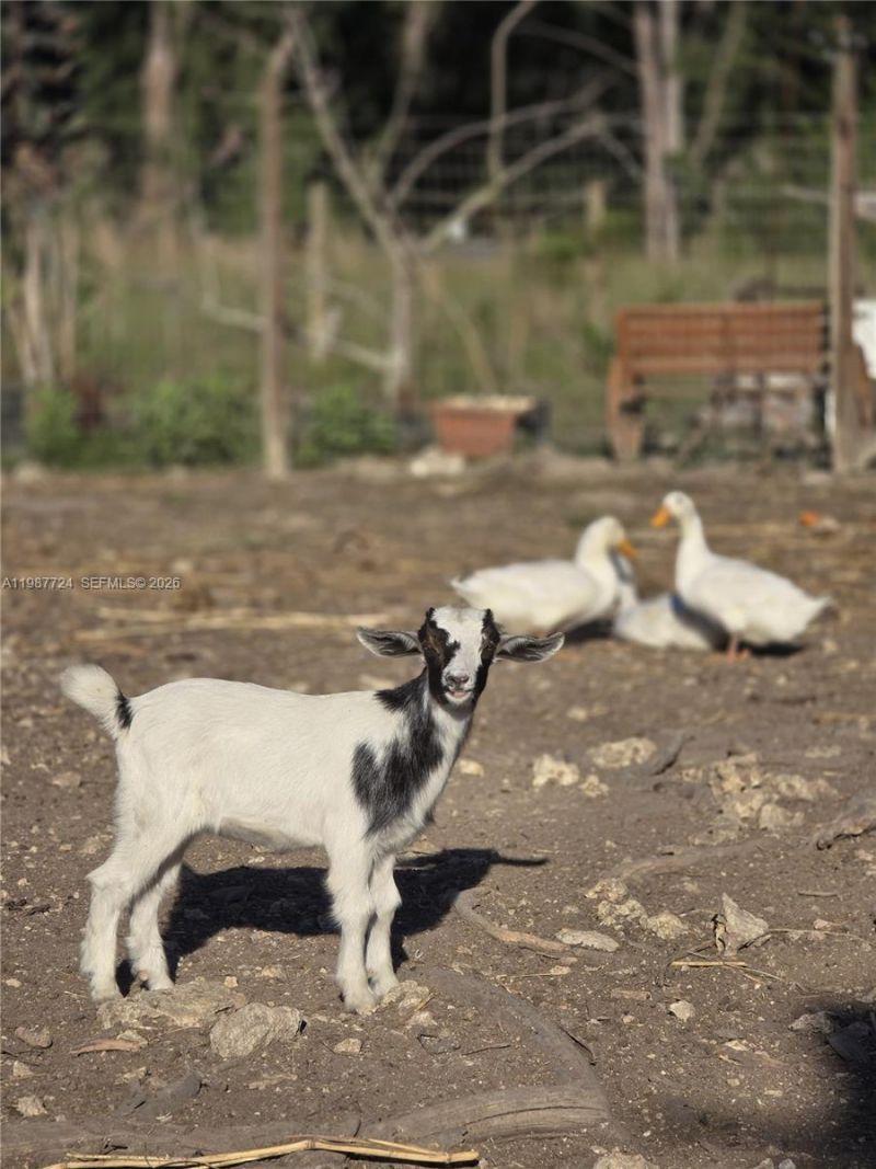 208 Ave , Miami, FL 33196 Photo